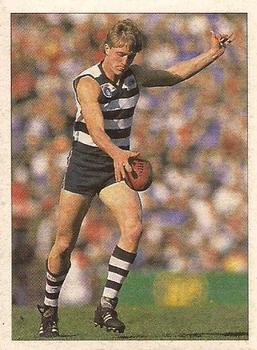 1992 Select AFL Stickers #133 Mark Neeld Front